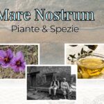 Avvio progetto “PIANTE e SPEZIE” – utilizzo e tradizioni in un percorso di cultura tra i popoli del Mediterraneo