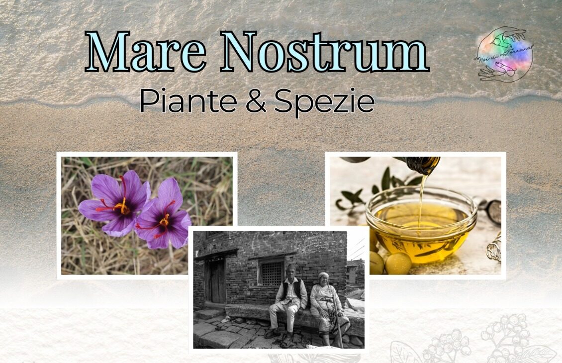 Avvio progetto “PIANTE e SPEZIE” – utilizzo e tradizioni in un percorso di cultura tra i popoli del Mediterraneo